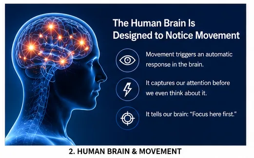 The human brain is designed to notice movement